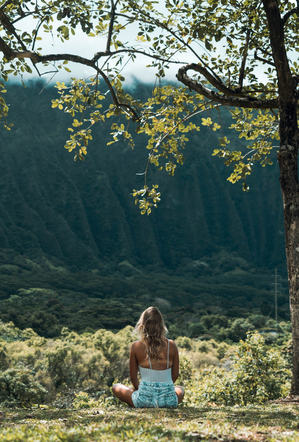 The Summer Solstice and Its Impact on Wellbeing and Wellness